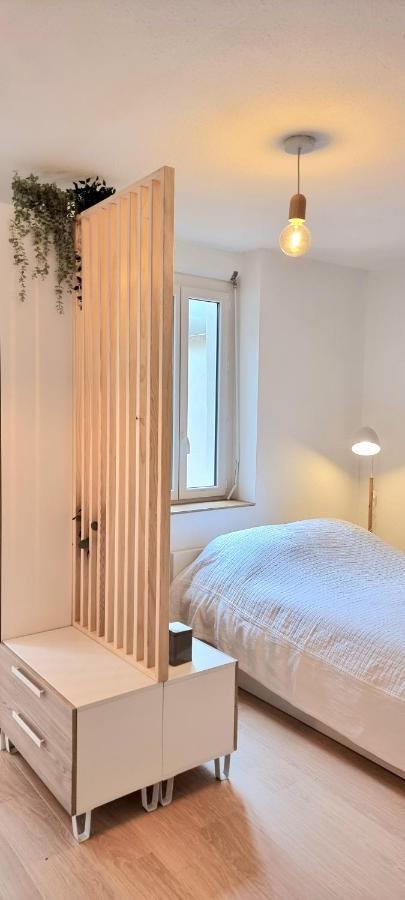 Apartament Sur Un Nuage - Terrasse - Gare - Hypercentre Tuluza Zewnętrze zdjęcie